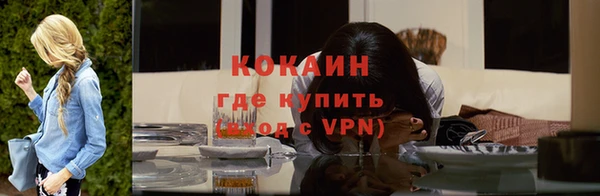 твердый Богородск