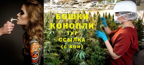2c-b Богородицк