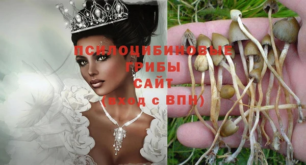 твердый Богородск