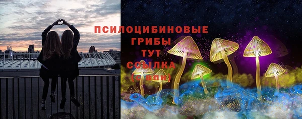 jwh Краснослободск