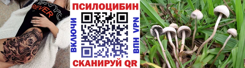 мега сайт Дудинка Псилоцибиновые грибы мухоморы